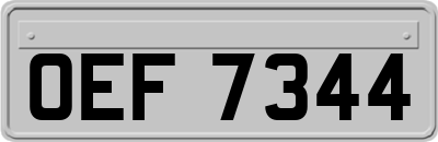 OEF7344
