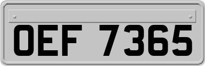 OEF7365