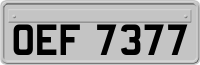 OEF7377