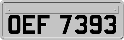 OEF7393