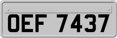 OEF7437