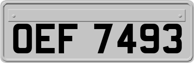 OEF7493