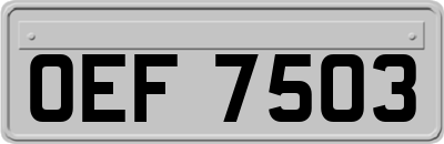 OEF7503