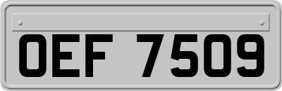 OEF7509