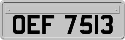 OEF7513