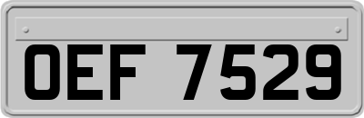 OEF7529