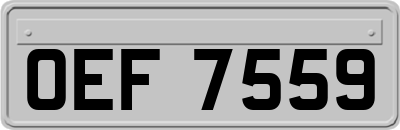 OEF7559