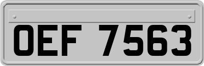 OEF7563