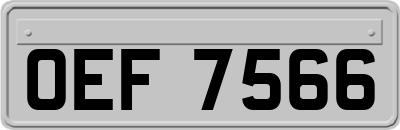 OEF7566