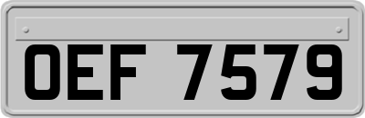 OEF7579