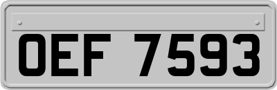 OEF7593