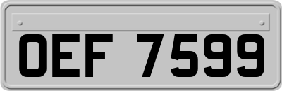 OEF7599