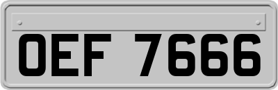OEF7666