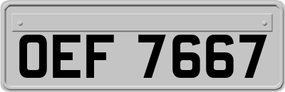 OEF7667