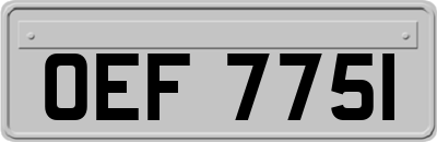 OEF7751