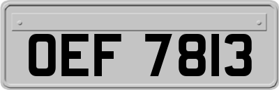 OEF7813