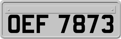 OEF7873