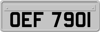 OEF7901