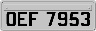 OEF7953