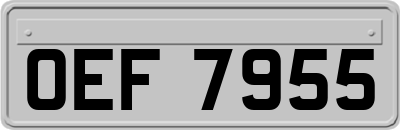 OEF7955