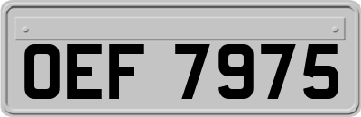OEF7975