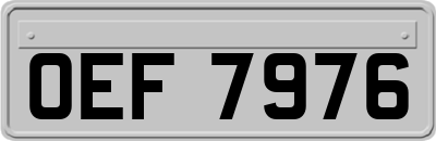 OEF7976