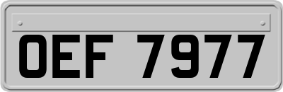 OEF7977