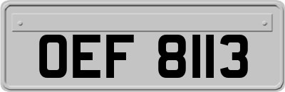 OEF8113