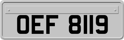 OEF8119