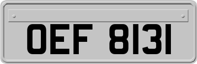 OEF8131