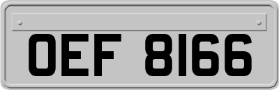 OEF8166