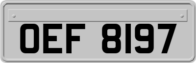 OEF8197