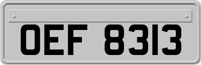 OEF8313
