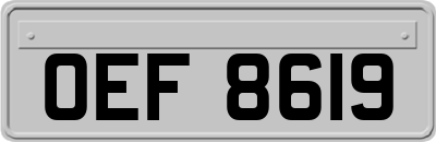 OEF8619