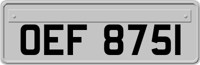 OEF8751