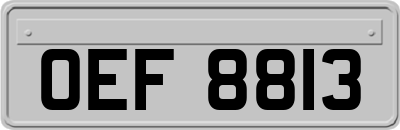 OEF8813