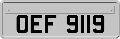 OEF9119