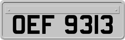 OEF9313