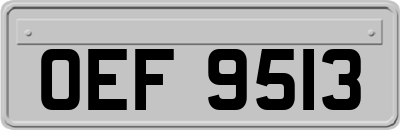 OEF9513