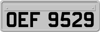 OEF9529