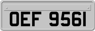 OEF9561
