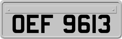 OEF9613