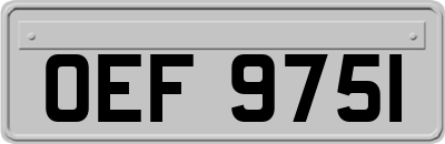 OEF9751