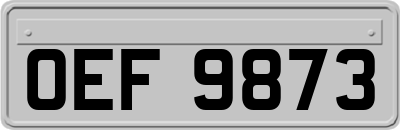 OEF9873