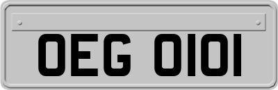 OEG0101