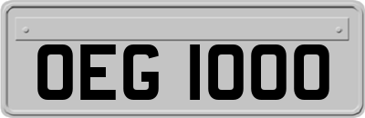 OEG1000