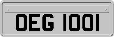 OEG1001