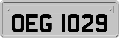 OEG1029