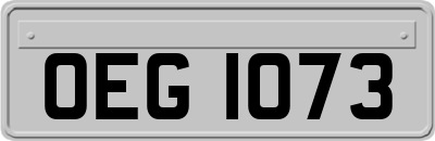 OEG1073