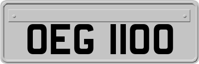 OEG1100